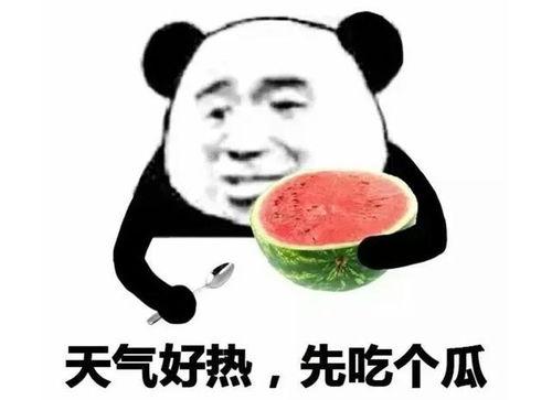吃瓜表情吧